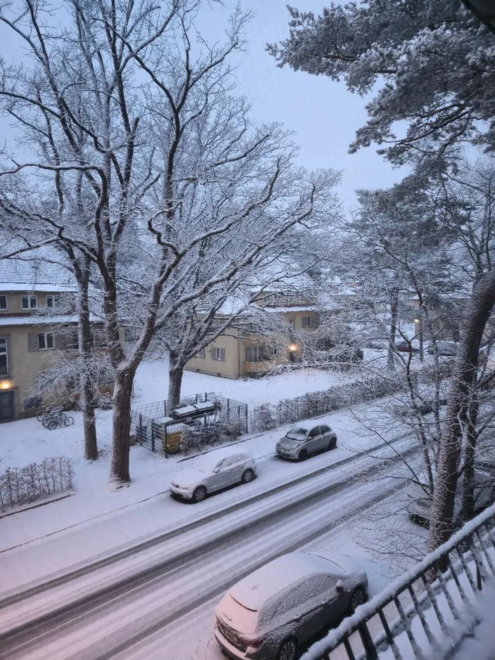 Snow-covered street and parked cars after a winter storm