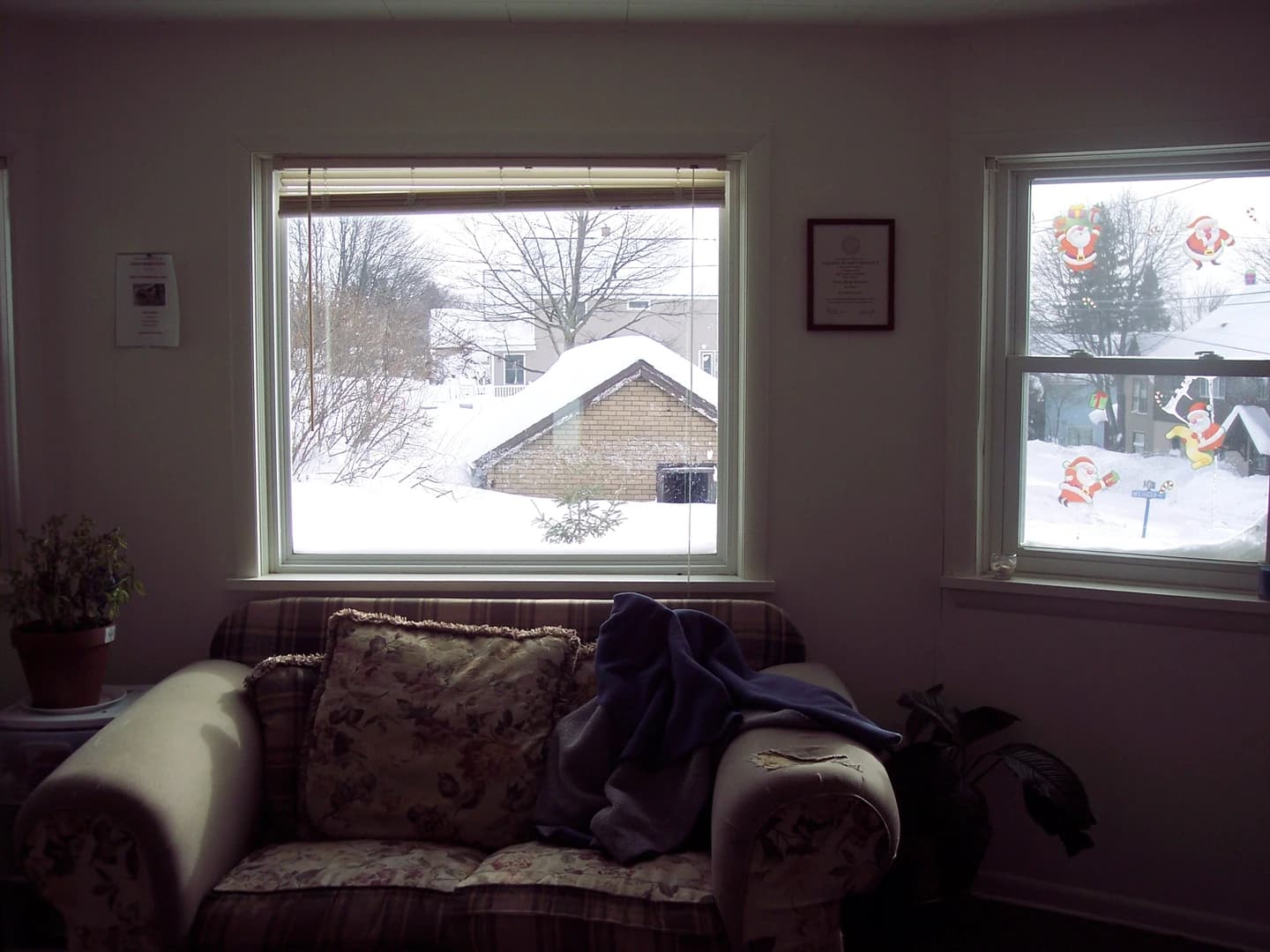 1007 Elm thumbnail 5